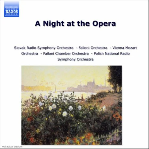 Various - A Night at the Opera [CD]