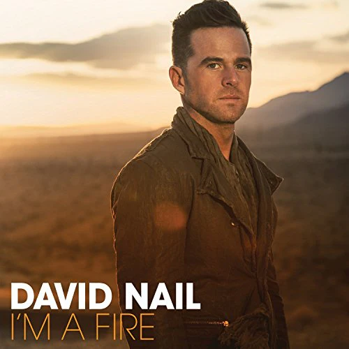 Nail David - I'm A Fire [CD]