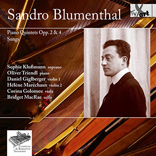 Sophie Klusmann/oliver Triendl - Klavierquintette D-Dur & [CD]