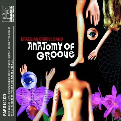 Brazilian Groove Band - Anatomy of Groove [CD]