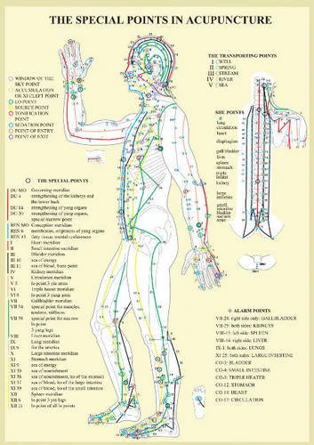 Special Points in Acupunture -- A4