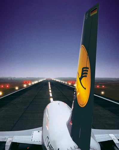Wings of the Crane