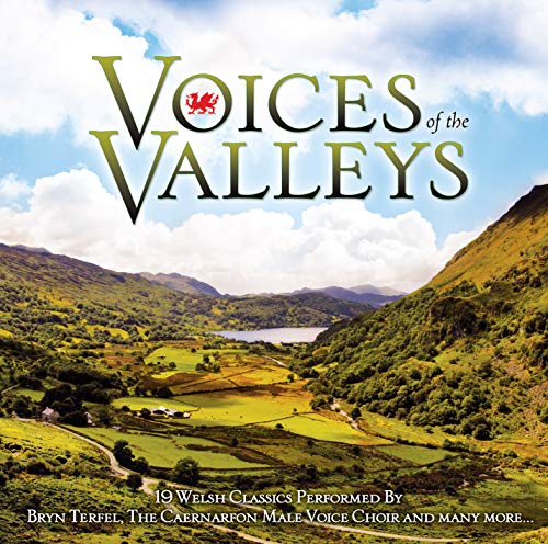 Various Artists - Voices Of The Valleys - Welsh Male Voice Choirs/Bryn Terfel [CD]