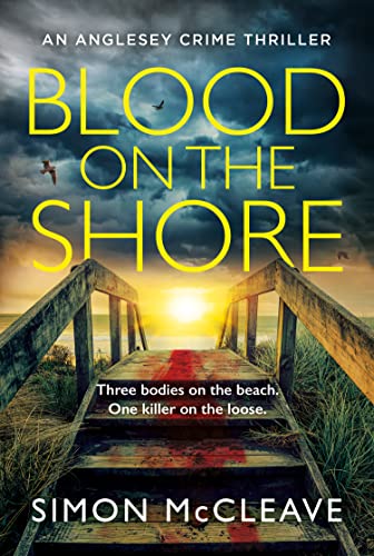 Blood on the Shore : Book 3