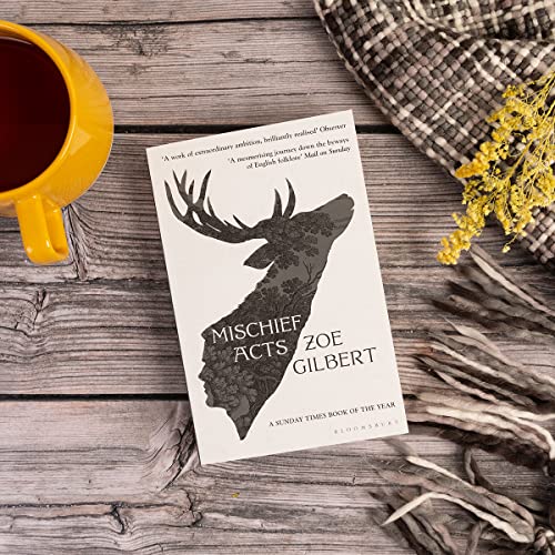 Mischief Acts : 'Joyous' THE TIMES, Best summer reads 2022