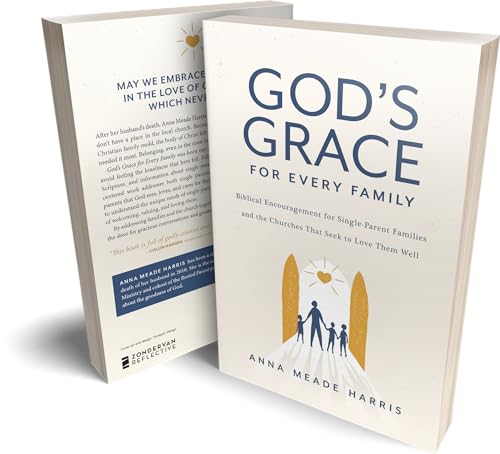 God's Grace for Every Family : Biblical Encouragement for Single-Parent Families and the Churches That Seek to Love Them Well
