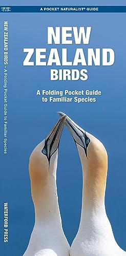 New Zealand Birds : A Folding Pocket Guide to Familiar Species