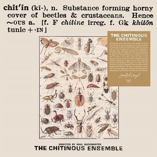 Various - Chitinous [VINYL]