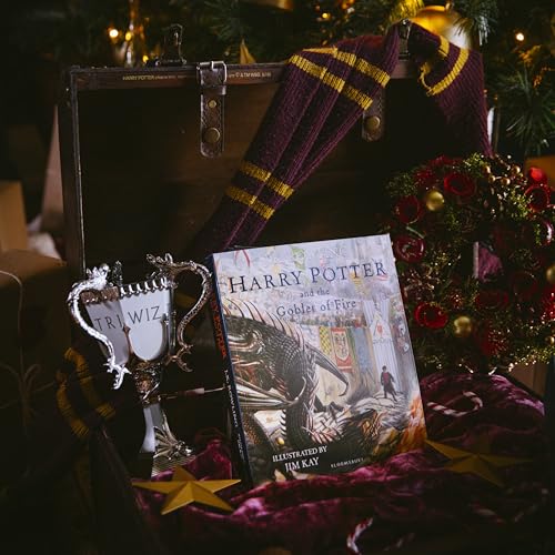 Harry Potter and the Goblet of Fire : Illustrated Edition