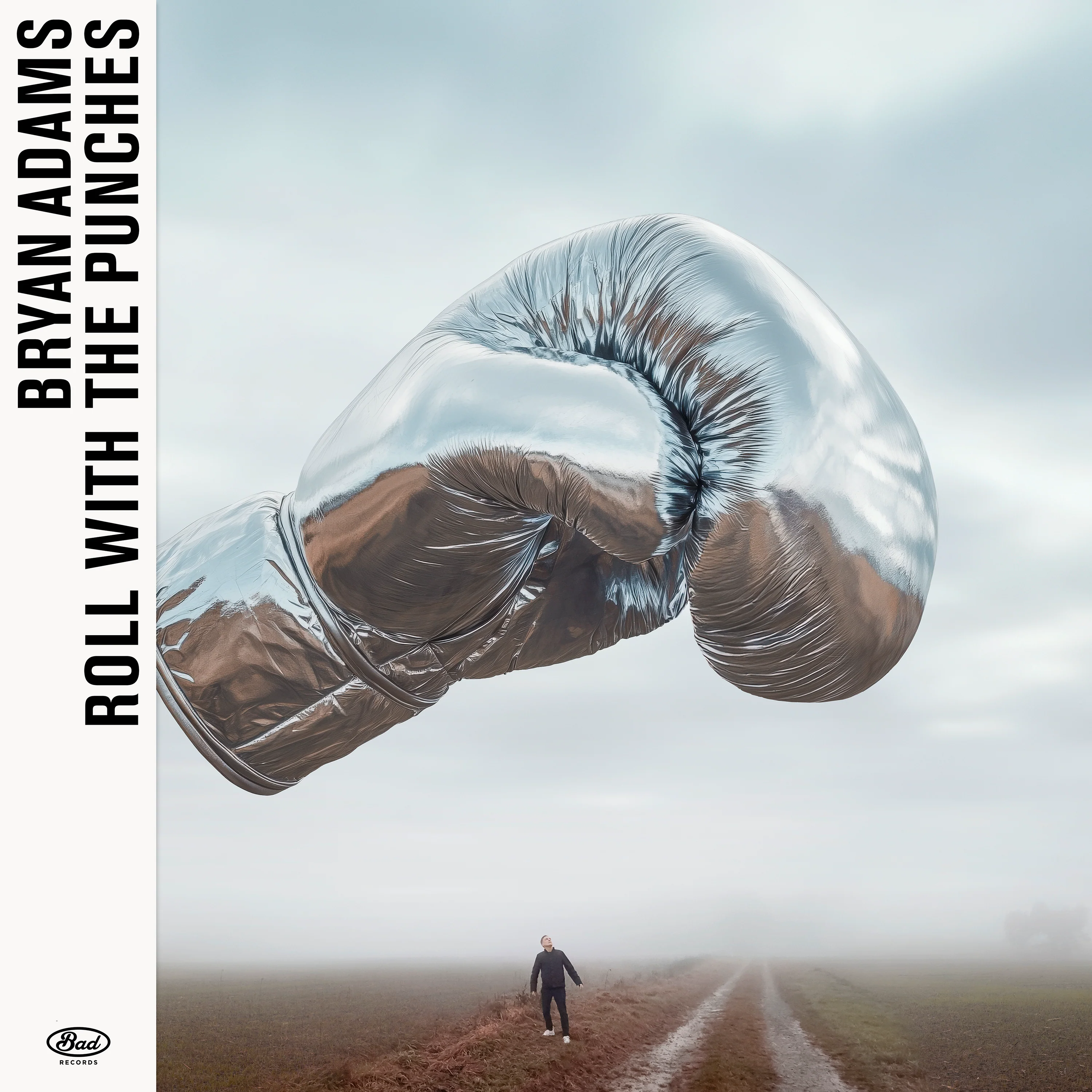 Bryan Adams - Roll With The Punches [VINYL]