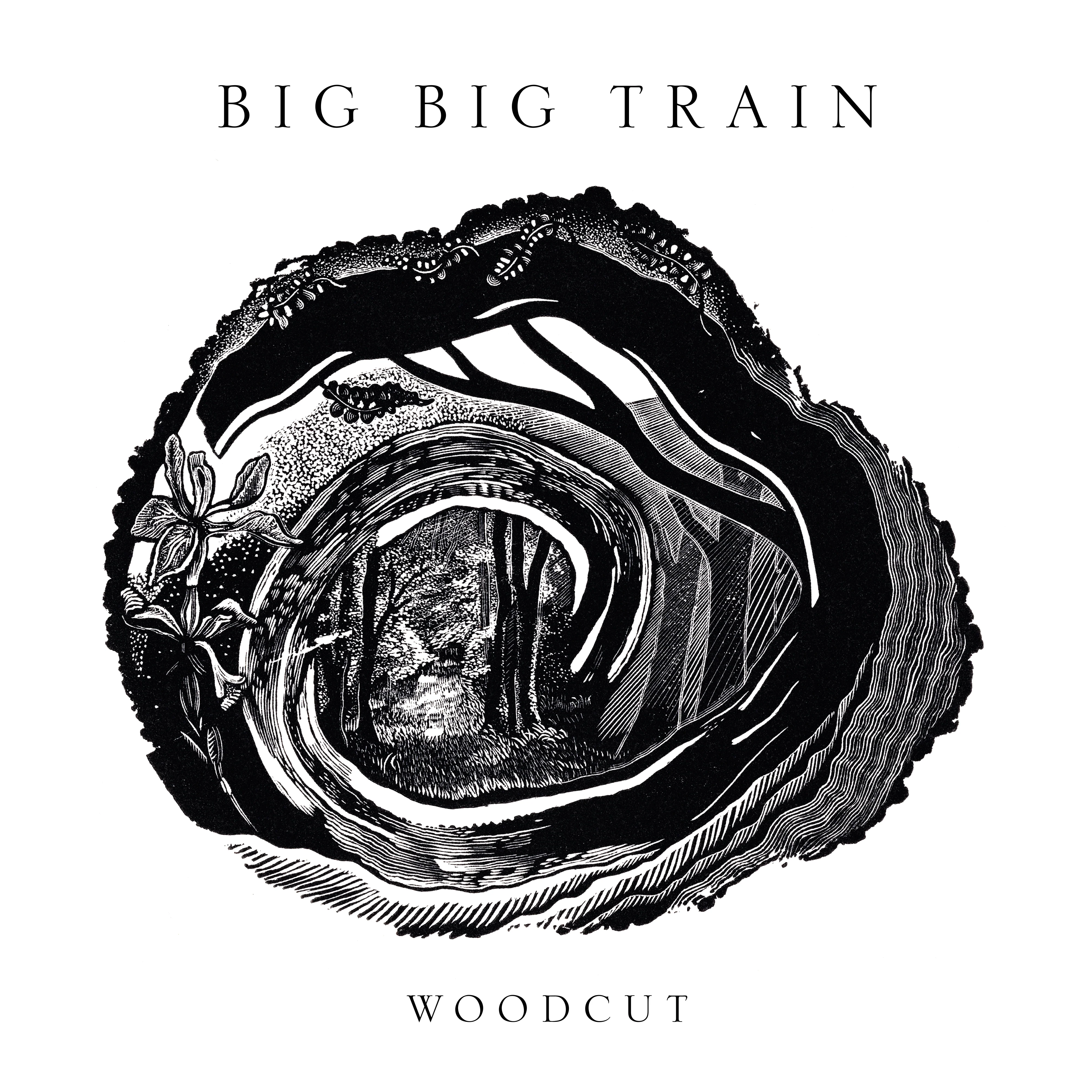 Big Big Train - Woodcut (CD + BD Mediabook) [CD]