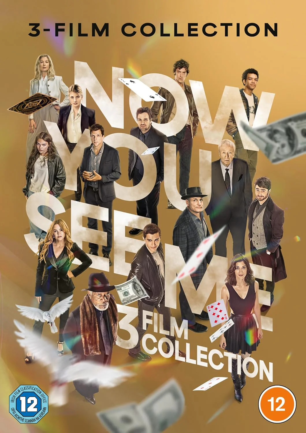 Now You See Me Triple Boxset [DVD]