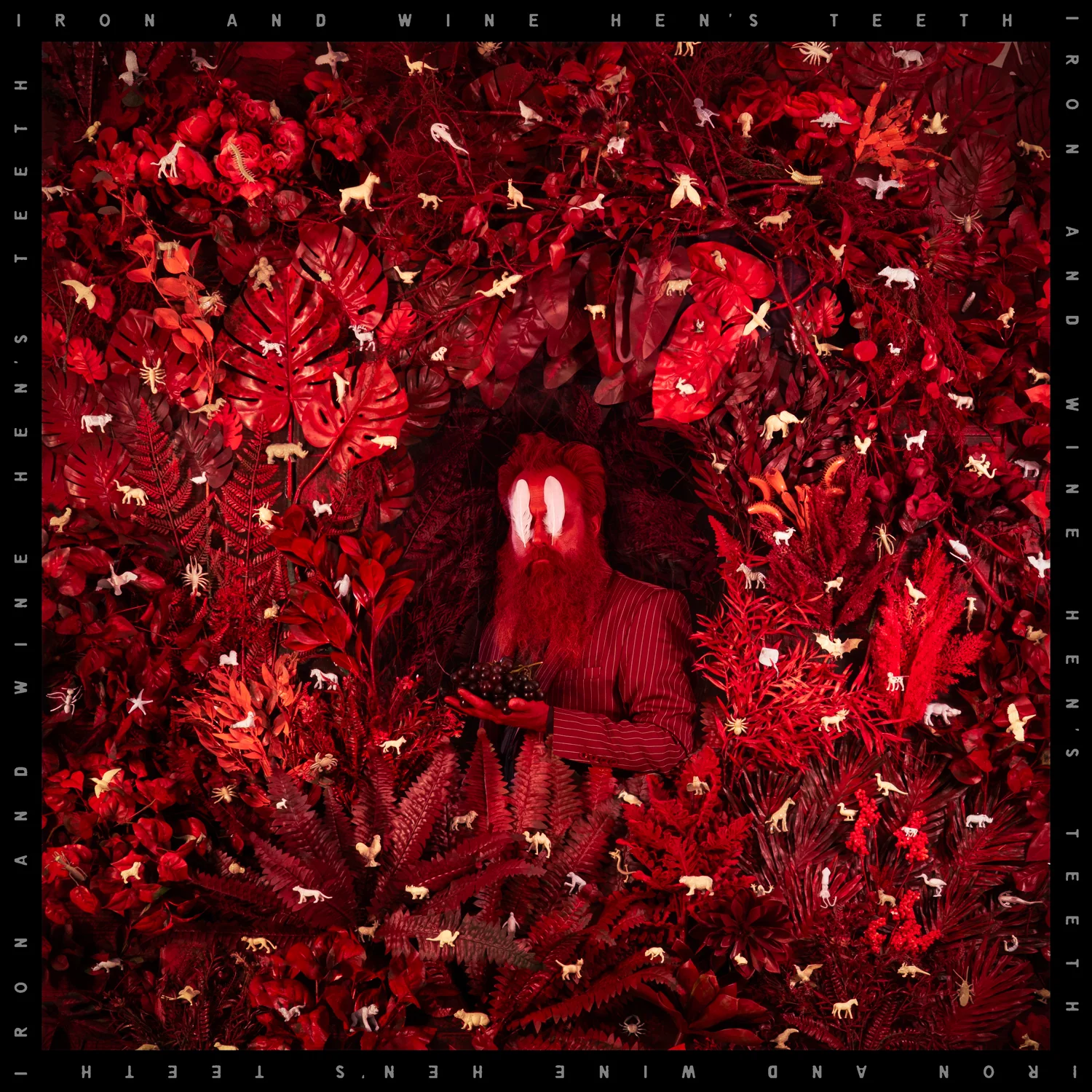 Iron & Wine - Hens Teeth [CD]