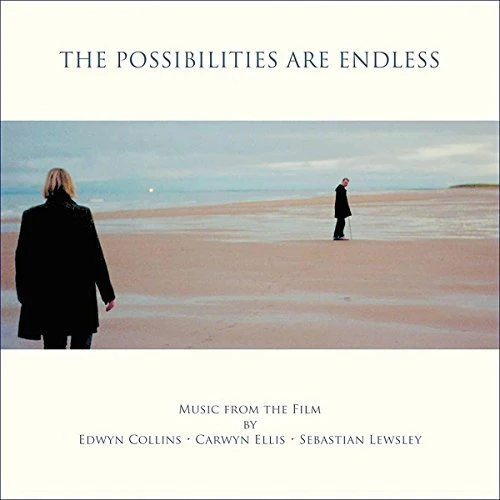 Various - The Possibilities Are Endless - Original Soundtrack [VINYL]