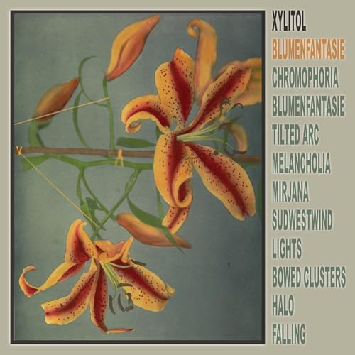Xylitol - Blumenfantasie [VINYL]