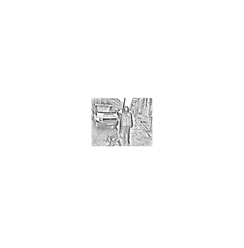 Still House Plants - Still House Plants [VINYL]