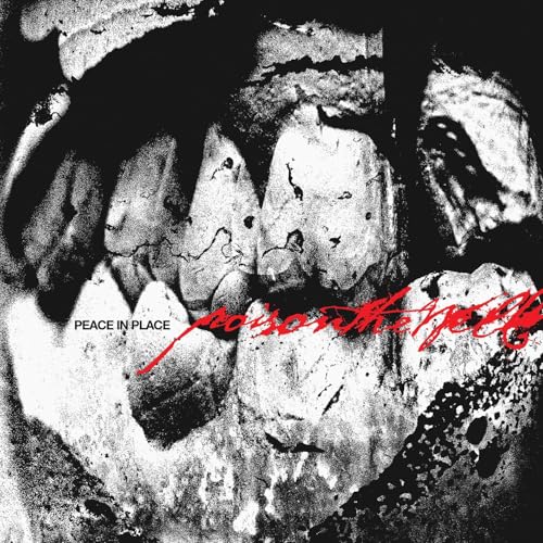 Poison The Well - Peace In Place (1lp Sleeve) [u [VINYL]