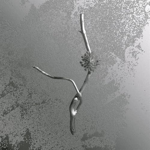 Gaia Banfi - La Maccaia - Gaia Banfi - La Maccaia [VINYL]
