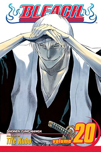 Bleach, Vol. 20: Volume 20