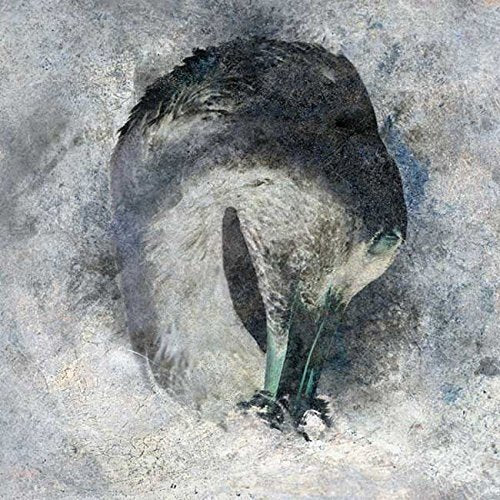 Suma - Ashes [CD]