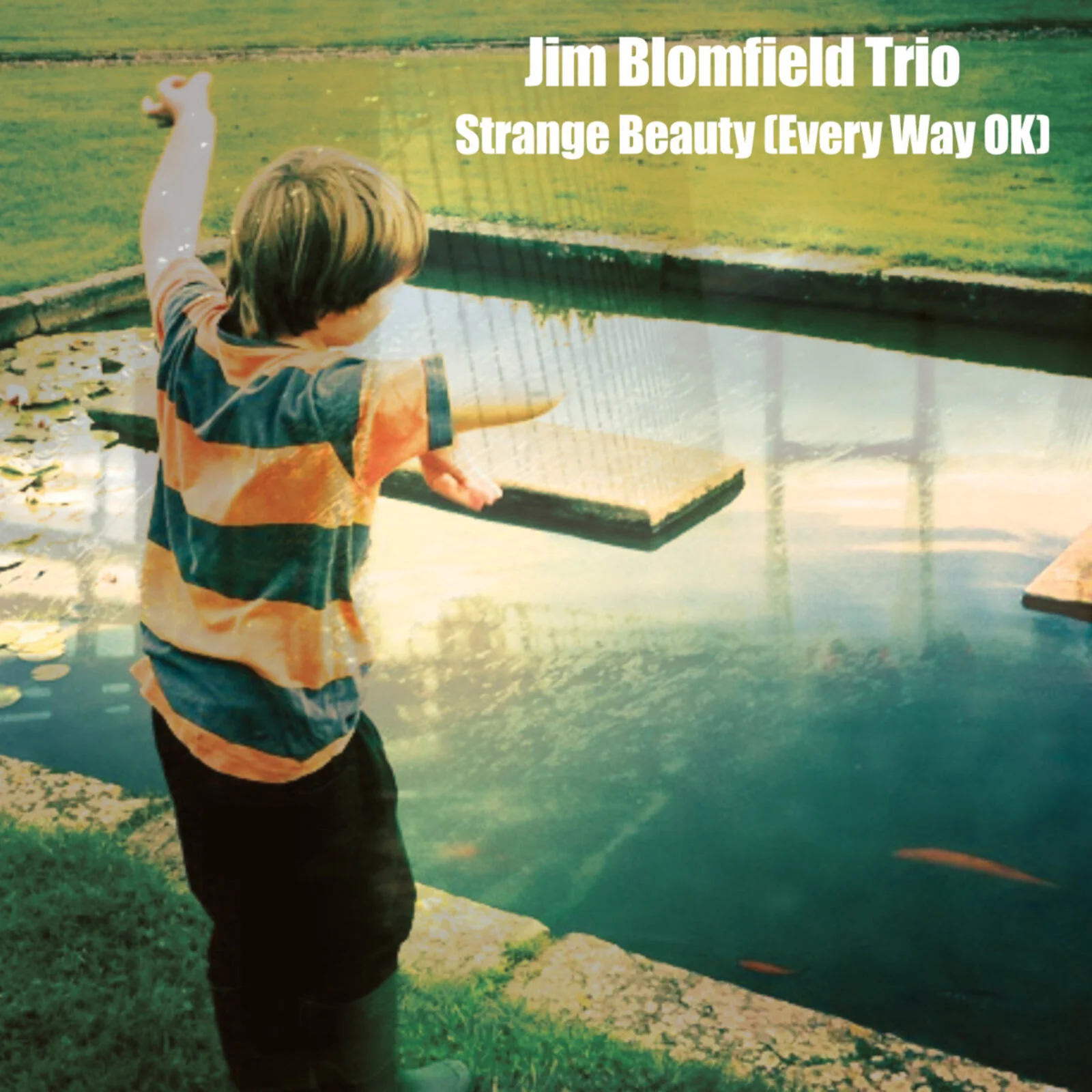 Jim Blomfield Trio - Strange Beauty (every Way Ok) [CD]
