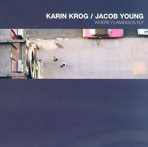 Karin Krog & Jacob Young - Where Flamingos Fly [CD]