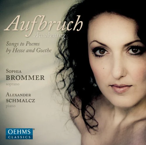 Brommerschmalcz - Aufbruch [CD]
