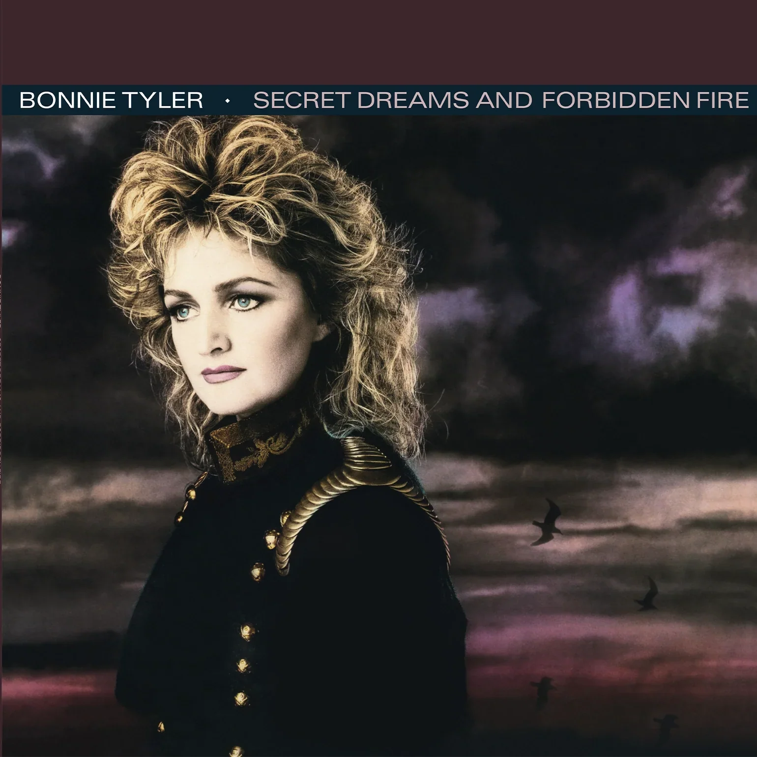 Bonnie Tyler - Secret Dreams And Forbidden Fire [VINYL] - Image 2