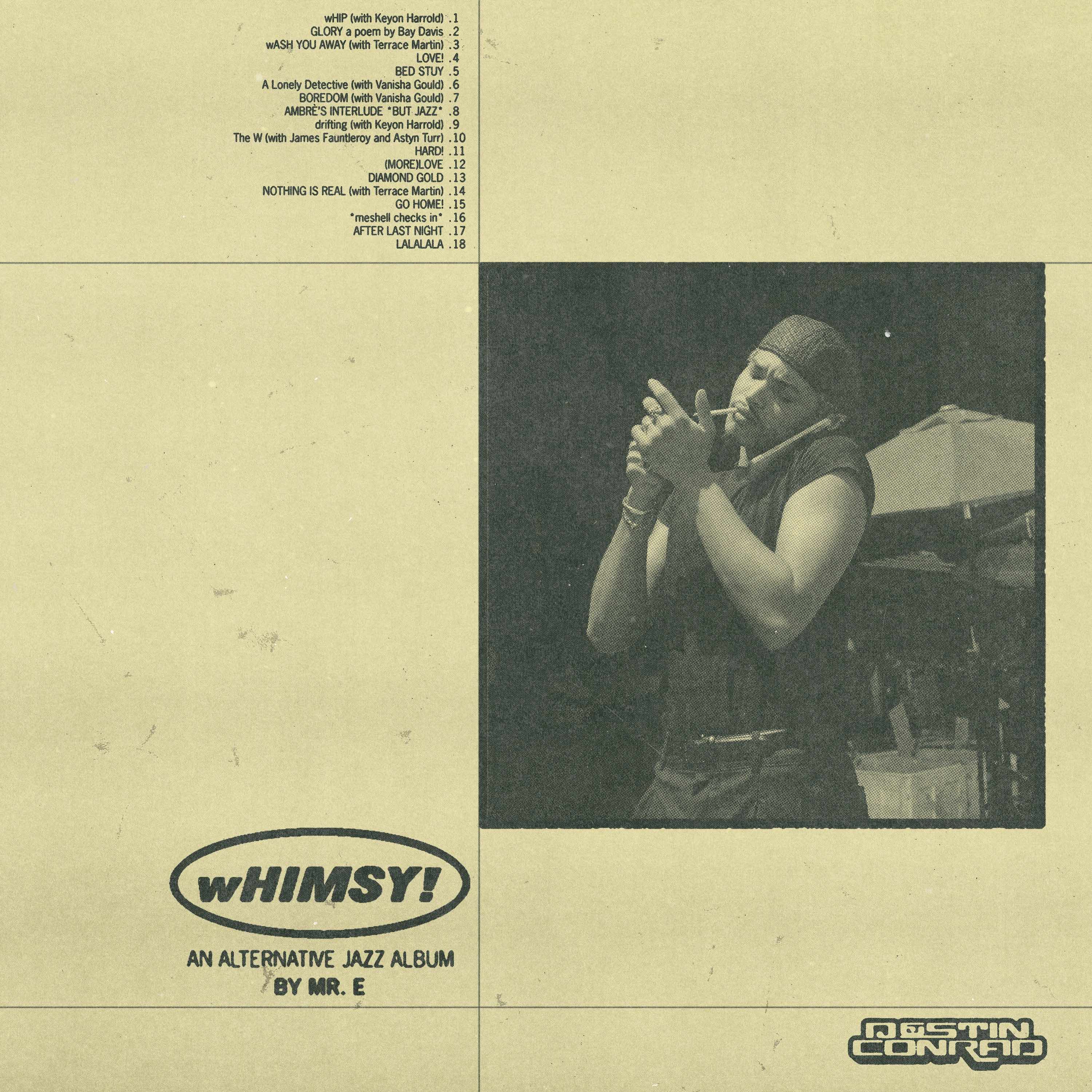 Destin Conrad - wHIMSY! (Colour LP) [VINYL] - Image 2