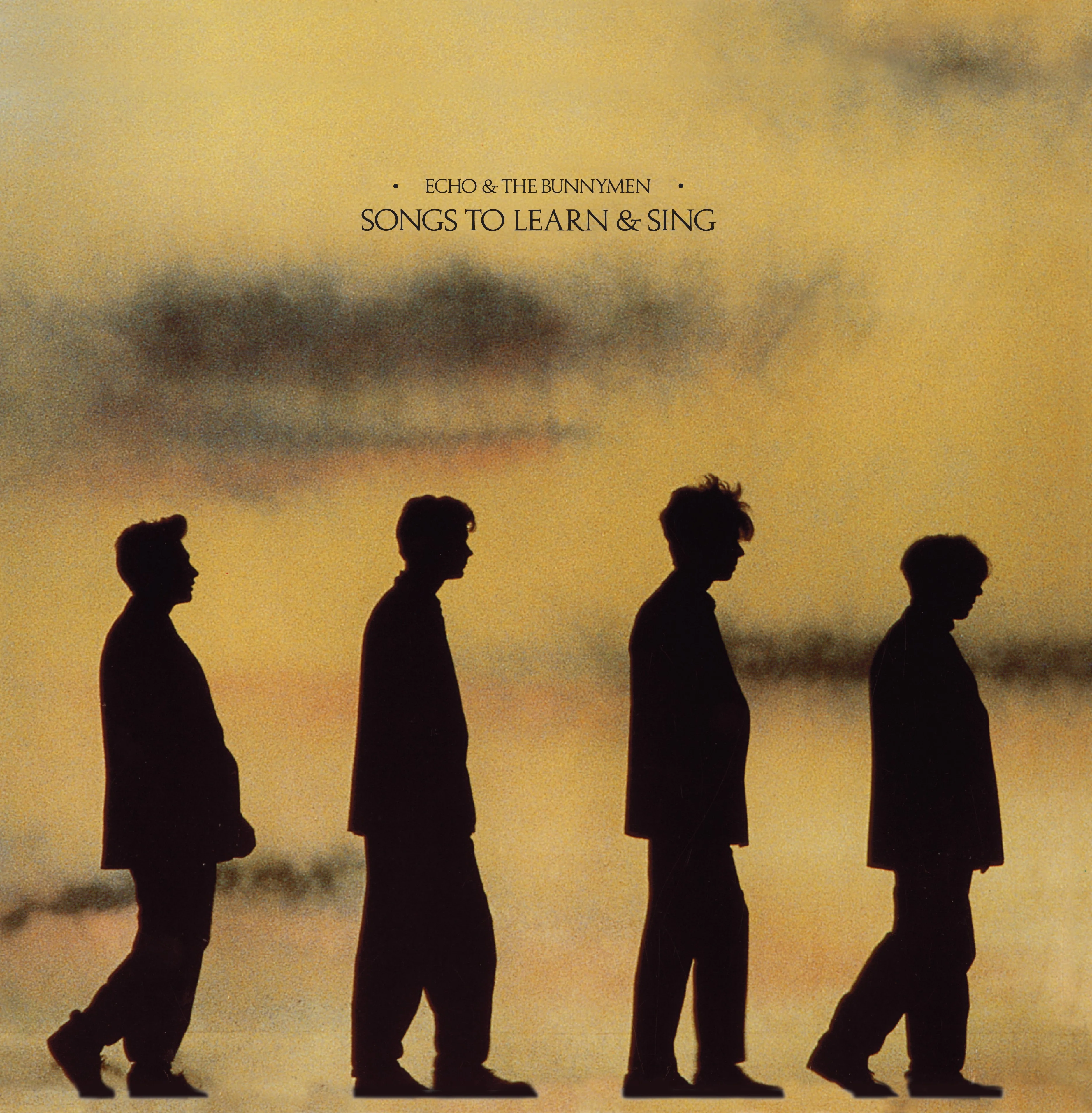 Echo & The Bunnymen - Songs To Learn & Sing (Marble) [VINYL] - Image 2