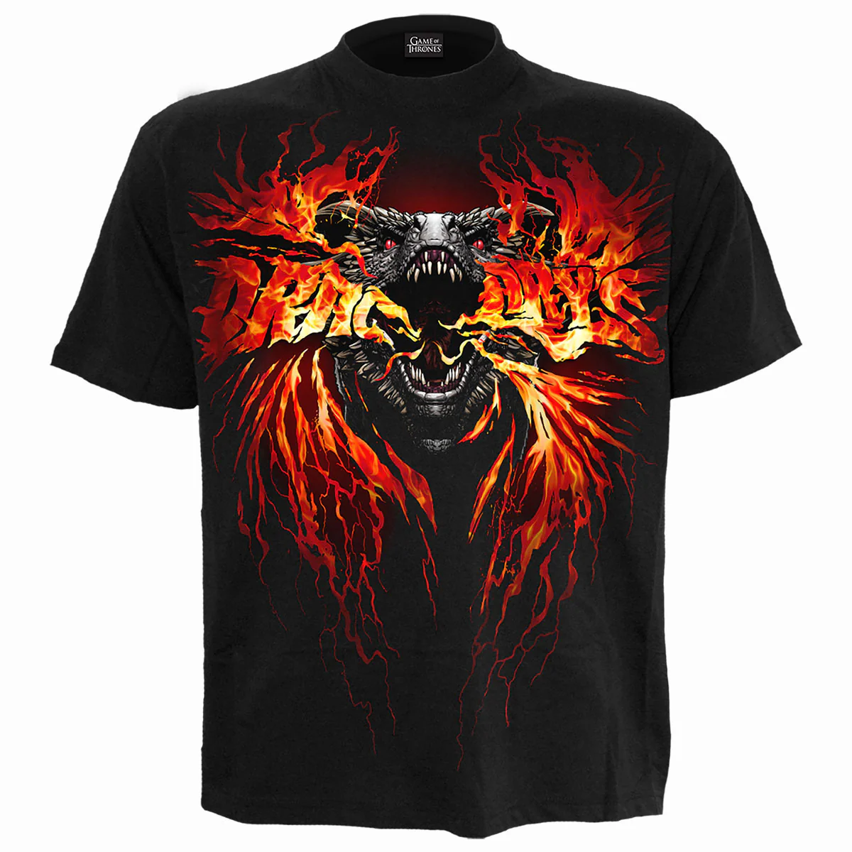 Game of Thrones Unisex T-Shirt: Fire And Blood