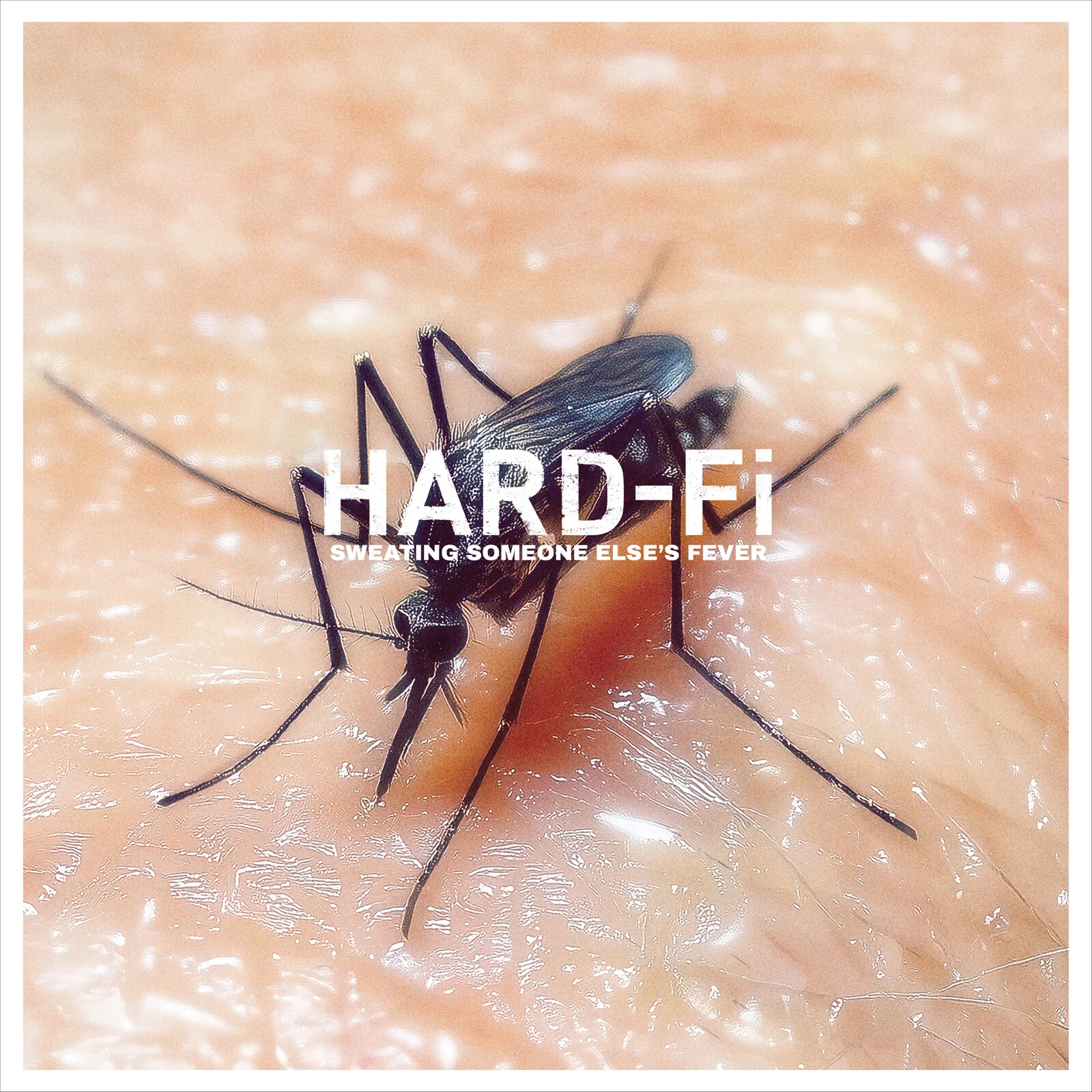 Hard-Fi - Sweating Someone Else's Fever [CD]
