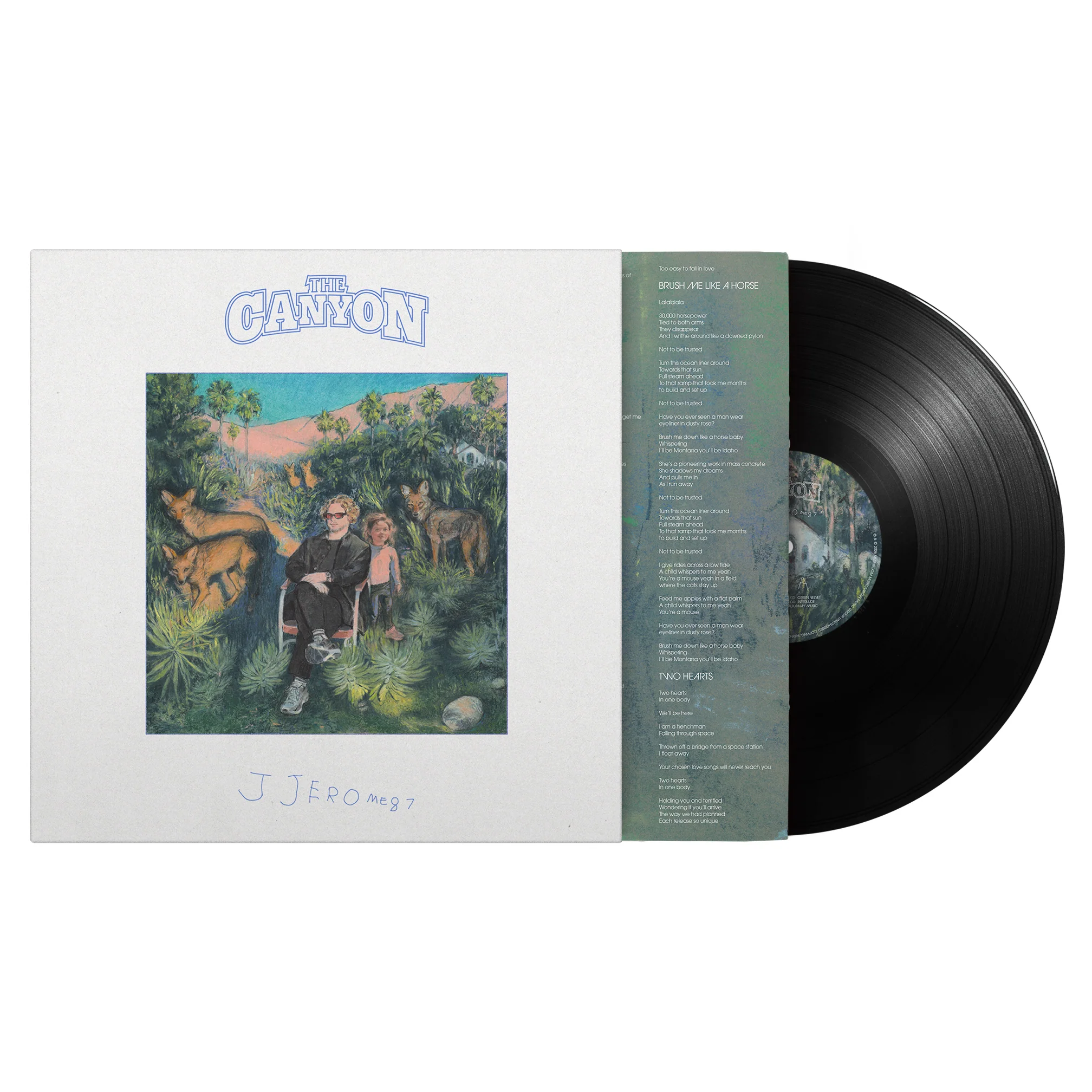 JJerome87  - The Canyon [VINYL] - Image 2