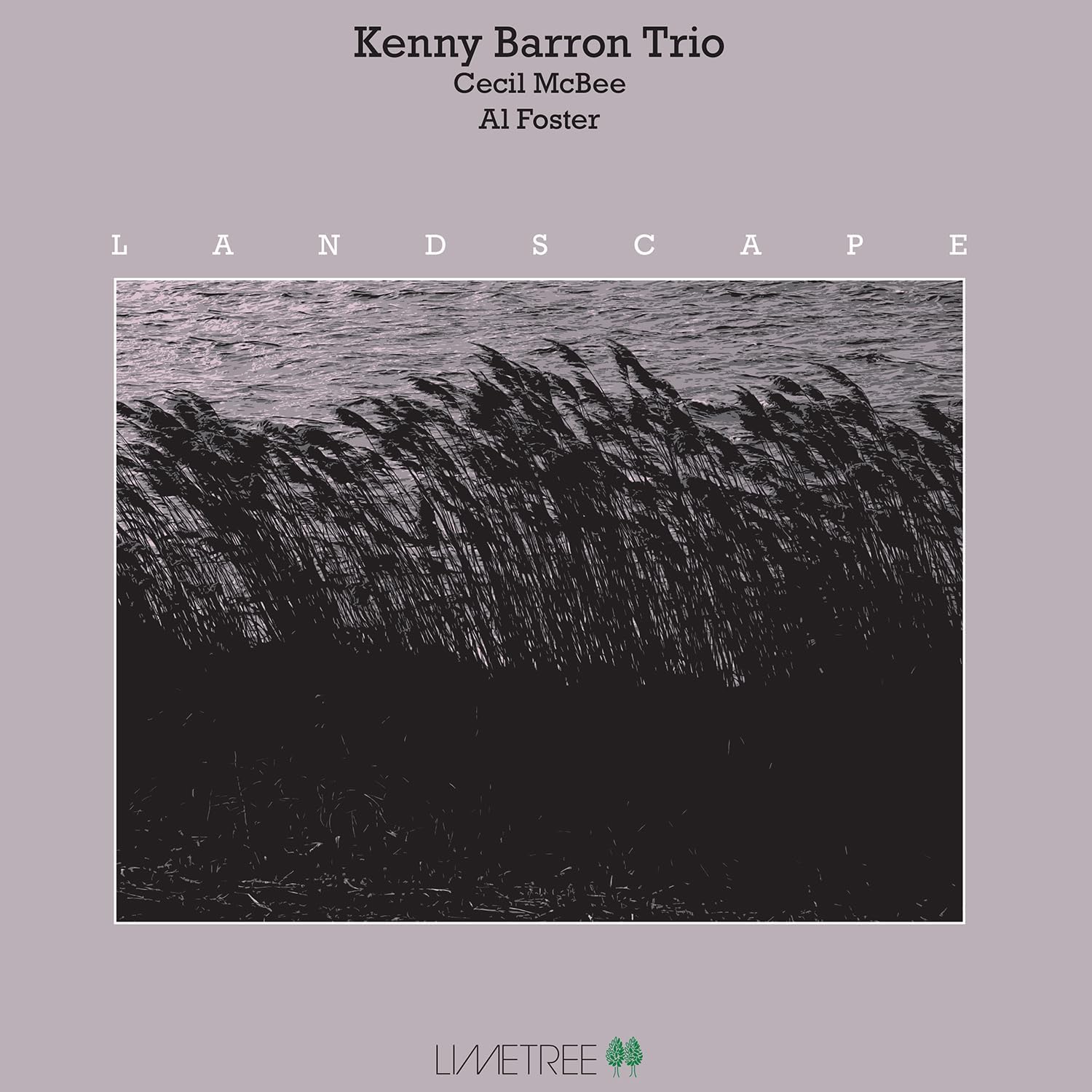 Kenny Barron Trio - Landscape [VINYL]