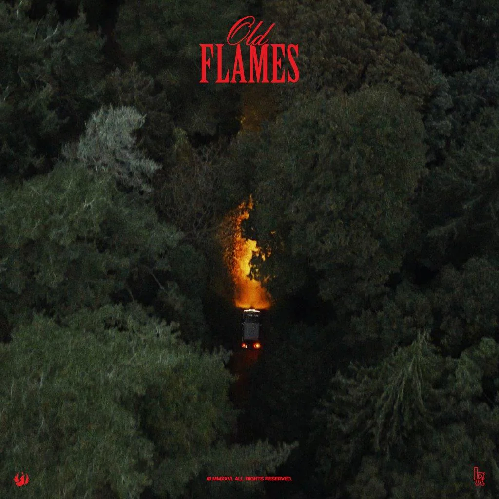 La Roux - Old Flame (Green LP) [VINYL] - Image 2