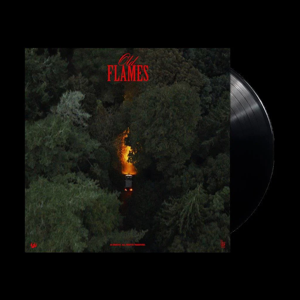 La Roux - Old Flame [VINYL] - Image 2