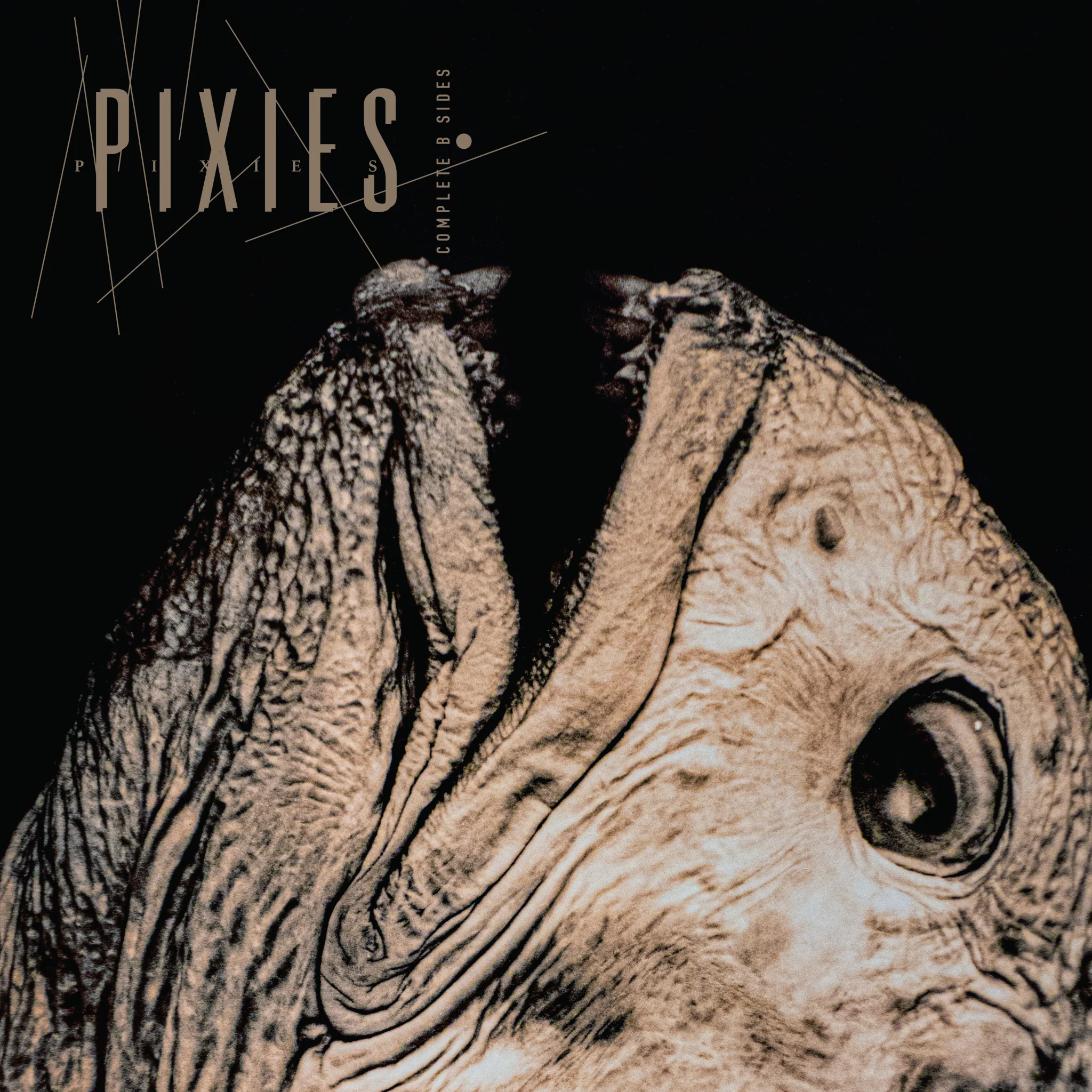 Pixies - Complete B-Sides: 1988-97 [CD]