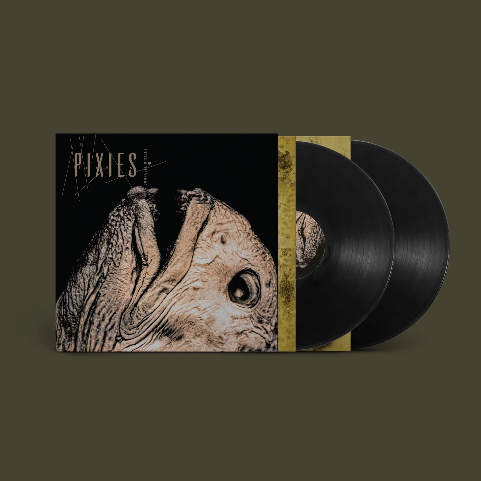Pixies - Complete B-Sides: 1988-97 [VINYL] - Image 2