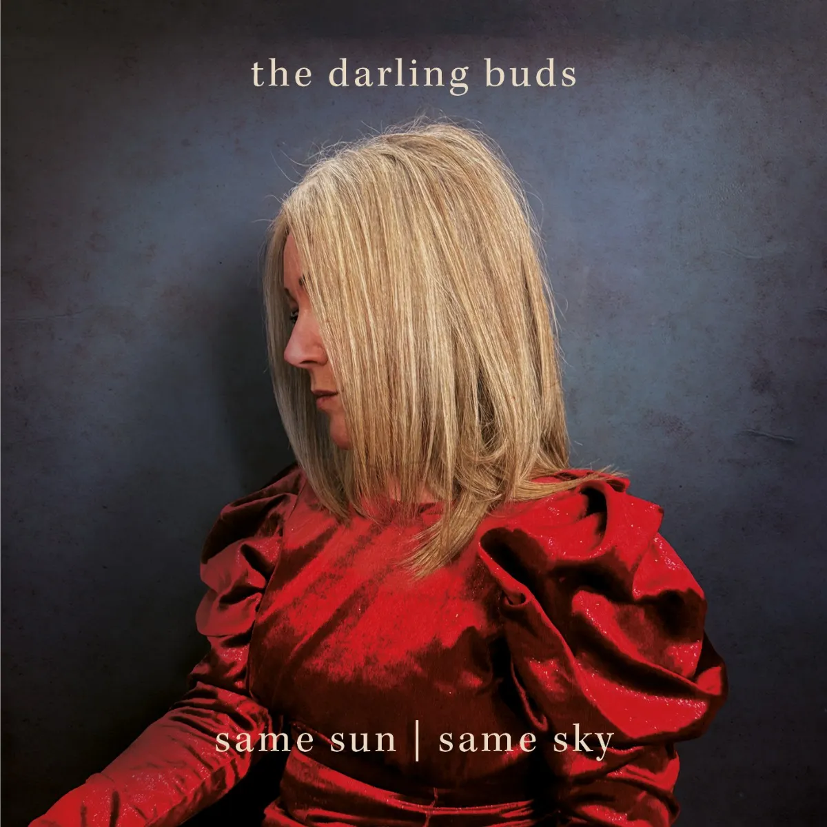 THE DARLING BUDS - SAME SUN / SAME SKY [VINYL]