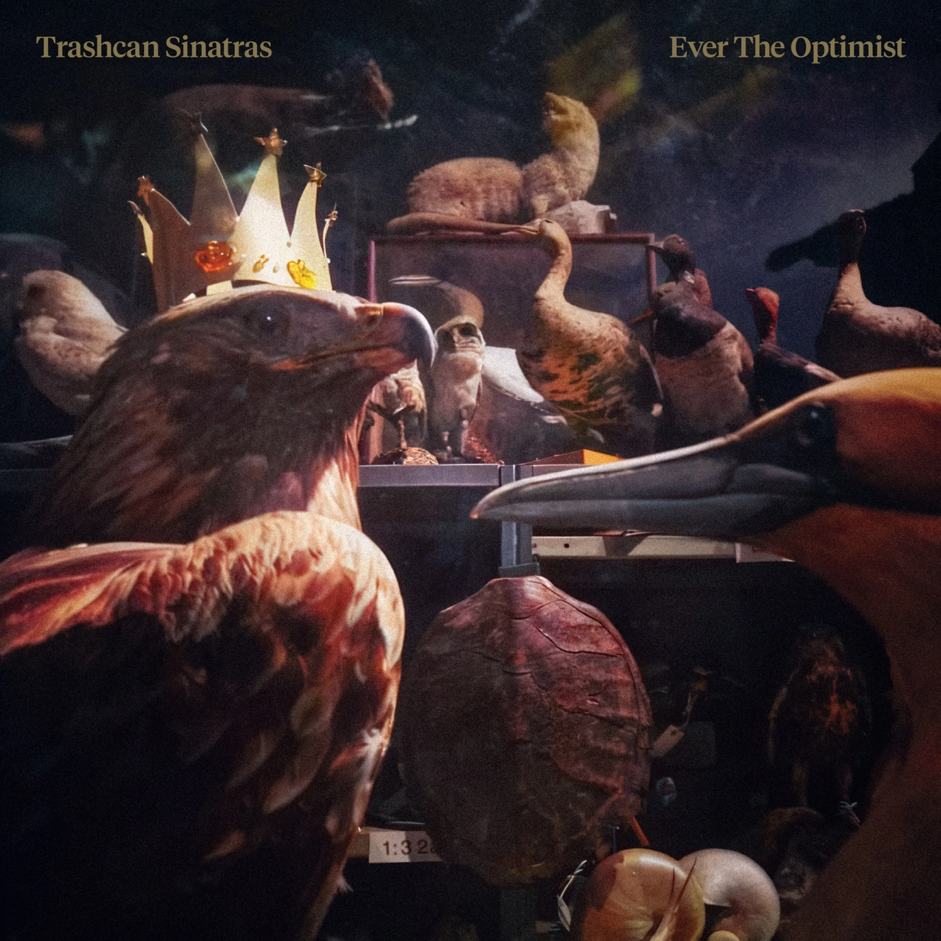 Trashcan Sinatras - Ever The Optimist [CD]