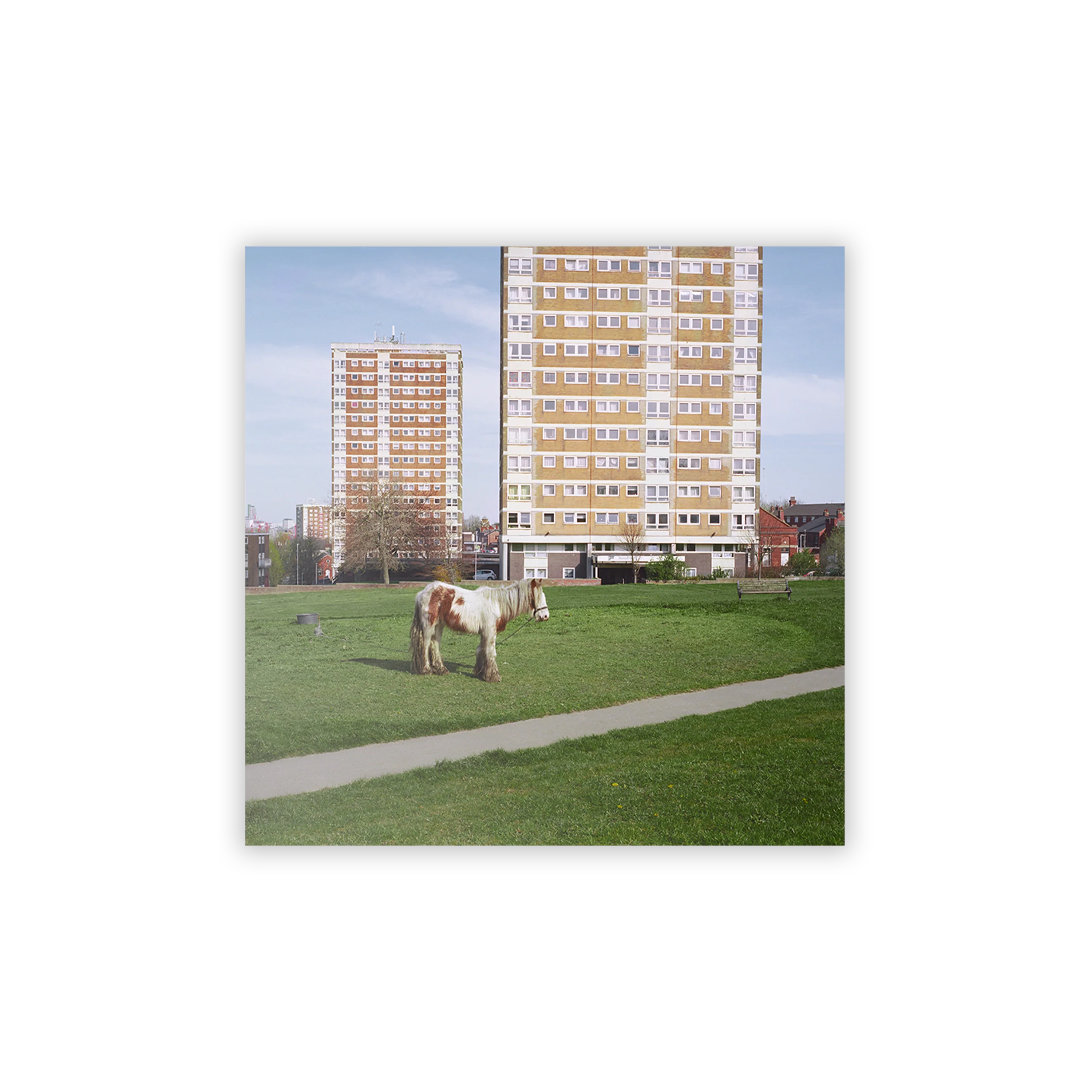 Westside Cowboy - It Goes On [CD]